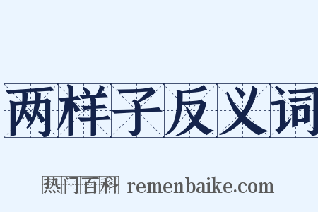 两样子反义词是什么意思的图片